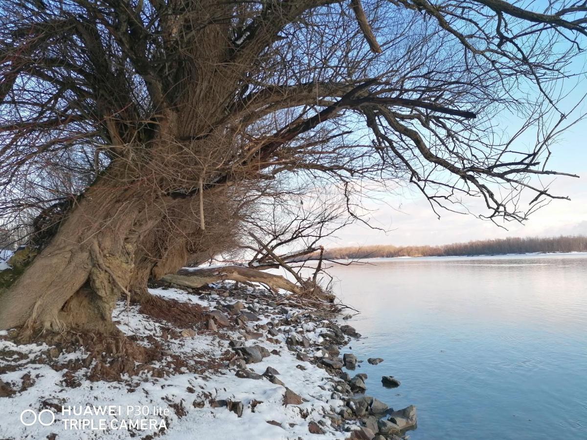 Captain'S House By The Danube River Cerevic Экстерьер фото